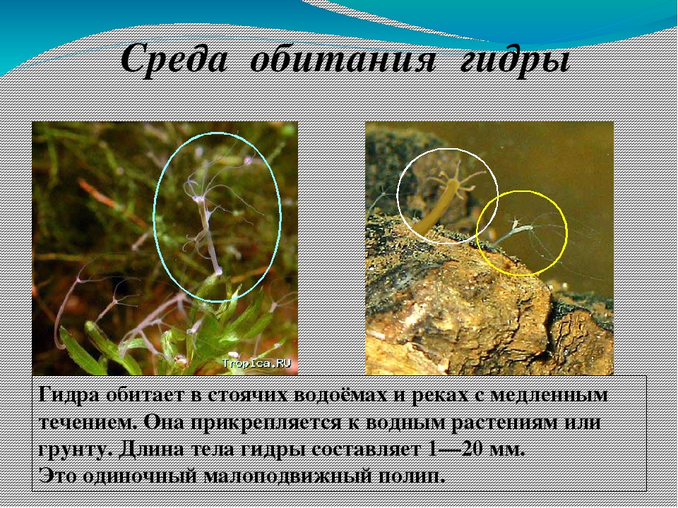 Кракен ссылка замена