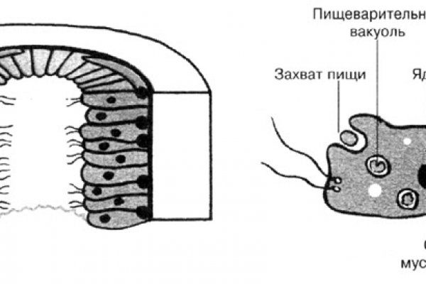 Кракен маркетплейс в тг