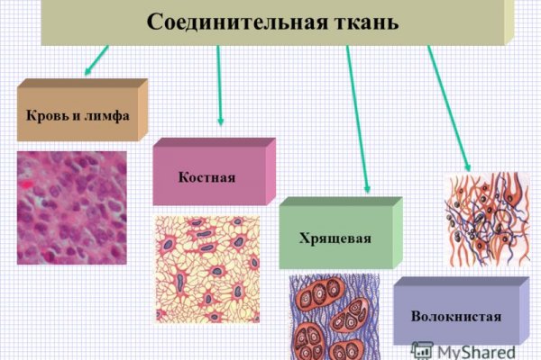 Кракен какой сайт