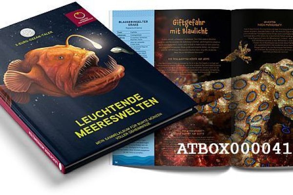 Кракен маркет даркнет тор