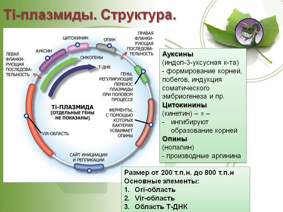 Кракен сайт биз