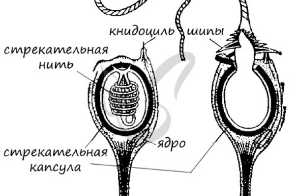 Как восстановить пароль на кракене