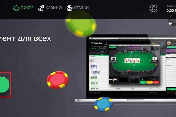 Kraken настоящая ссылка