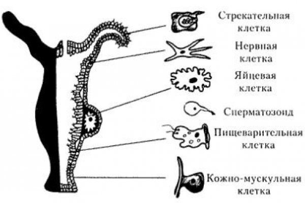 Kra26.at