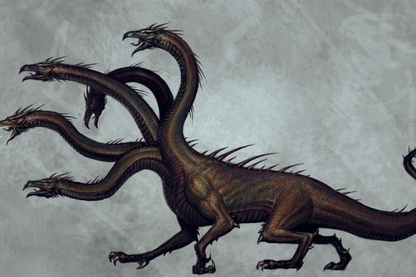 Kraken 23 at