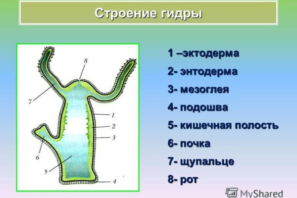 Кракен даркнет площадка ссылка