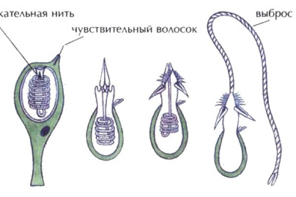 Кракен ссылка pw
