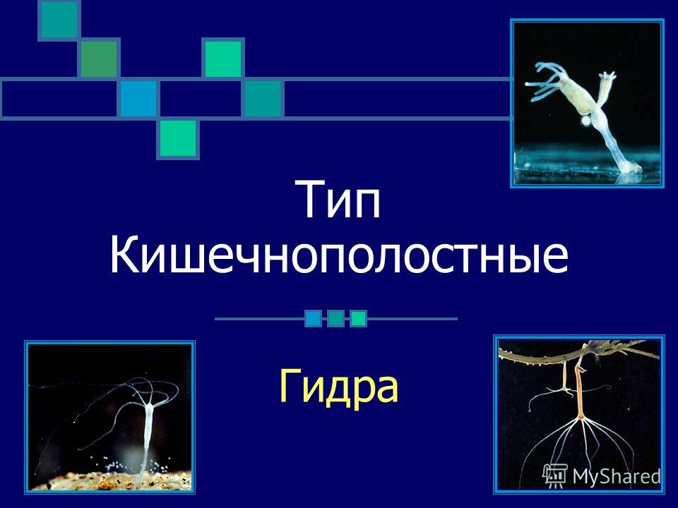 Как вернуть аккаунт кракен