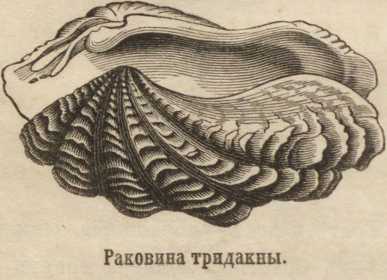 Ссылка кракен сегодня